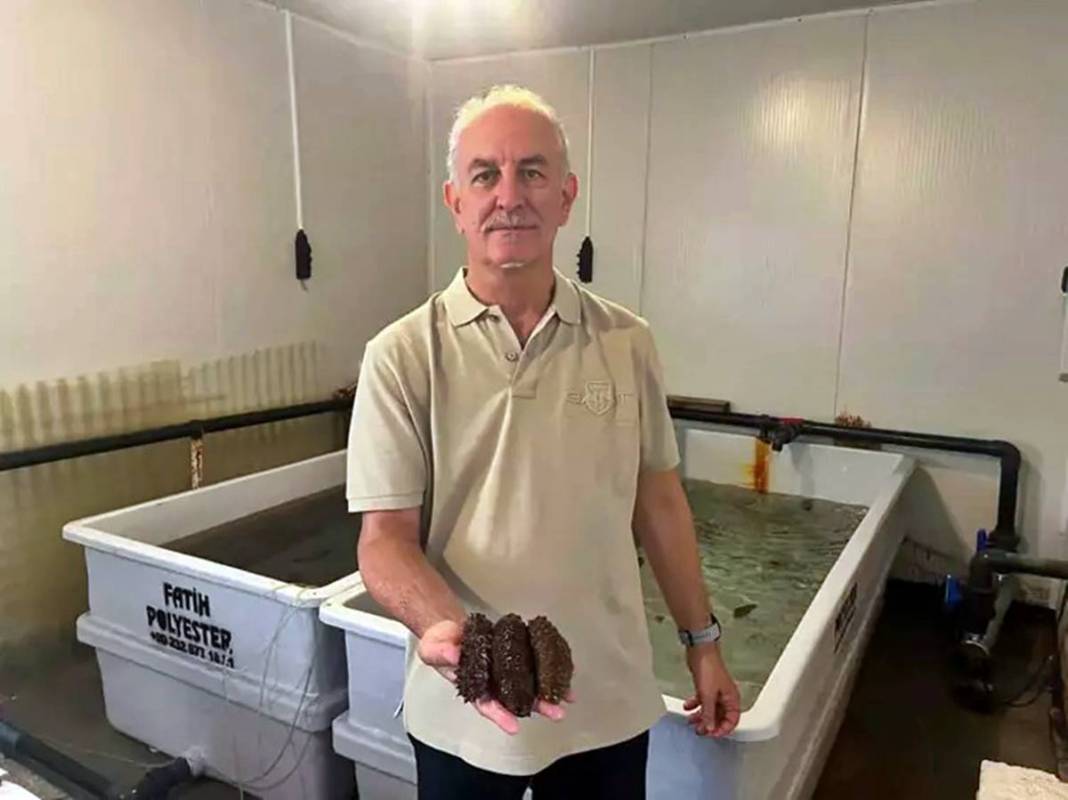 Görenler şaştı kaldı: Bu canlı, İzmir'deki kirliliği azaltılacak! Sayıları her geçen gün artıyor 3